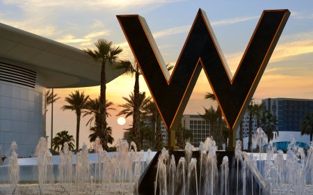 Savour Love's Flavours at W Abu Dhabi