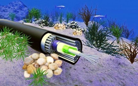 World's Largest Subsea Cable to Power UAE's Gen Next