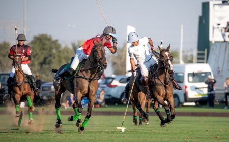 Equestrian Dream Day at Al Habtoor Polo Resort