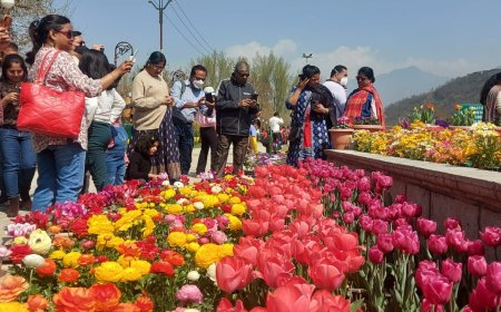 Delhi’s Floral Tribute to Holland