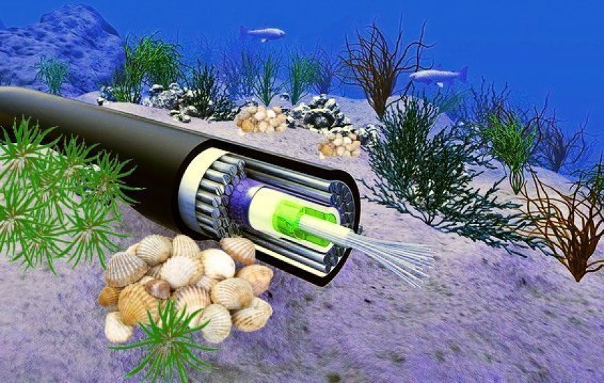 World's Largest Subsea Cable to Power UAE's Gen Next