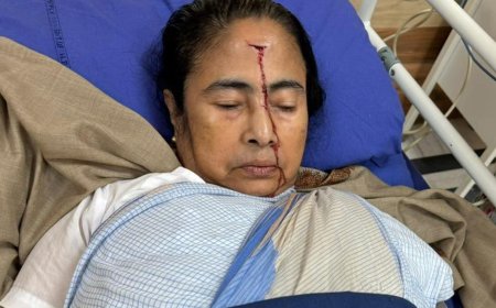 West Bengal CM Mamata Banerjee Suffers Serious Injury