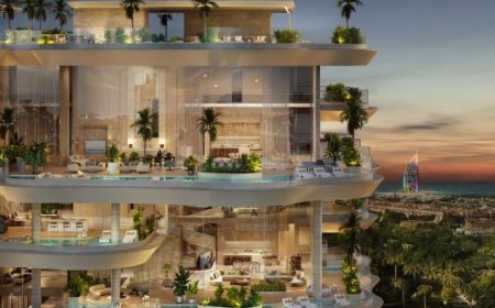 International Luxury Real Estate Agency Whitewill Highlights 6 Key Areas in Dubai