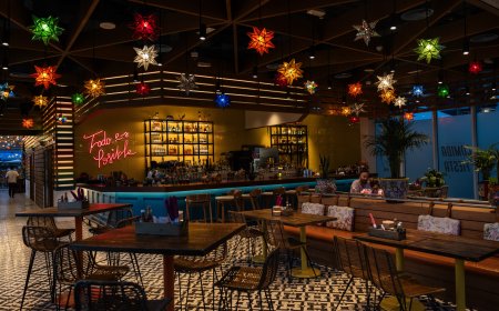 Celebrate Cinco De Mayo at Señor Pico on West Palm Beach