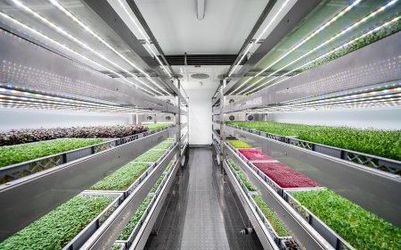 UAE to Plant Seeds of Innovation for Food Self Reliance