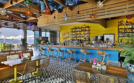 New Deals and Events at Señor Pico on West Palm Beach