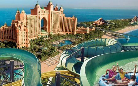 Splash into a Legendary Summer with a Free 2nd Day at Aquaventure Waterpark & Select Dolphin Perks till Aug End
