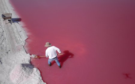 ‘Yes Chef!’: How gourmet French sea salt has taken over Middle Eastern kitchens