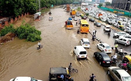 Severe Rains Have Left Mumbai With More Than Its Feet Wet