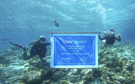 Maldives Dive Resort Presented With PADI "Outstanding Contribution to Women's "Diving" Award