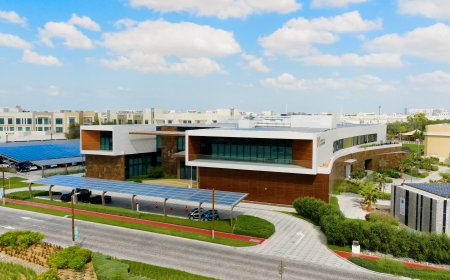 SEE Institute partners with Canadian institution Mohawk College to promote a sustainable future through education