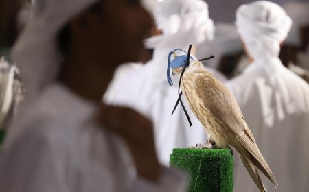 ADIHEX 2024 unveils exciting Hunting Tourism & Safari sector in its biggest edition yet