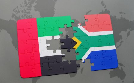 Crooked South African Diplomat in Dubai Reprimanded, Recalled