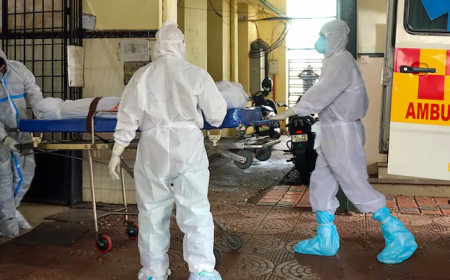 Nipah Virus on the Prowl in Northern Coastal Kerala