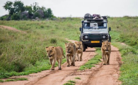 The Latest Sharjah Safari Season is Guaranteed to Make You One With Nature