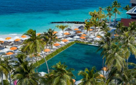 Escape to a Festive Tropical Paradise with Atmosphere Core this Holiday Season