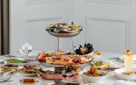 carine Announces Enchanting Festive Experiences for Christmas and New Year's Celebrations