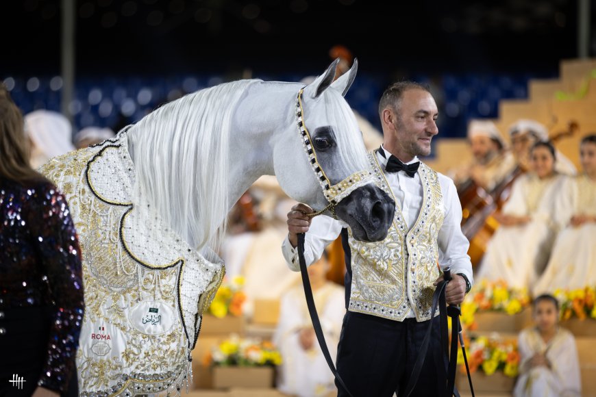 AJ Kayya Crowned ‘Horse of the Tour’ in the Global Champions Arabians Tour Season Finale