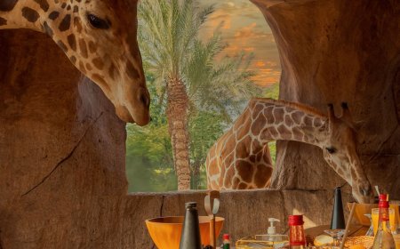 Have you ever imagined breaking your fast with a giraffe, an elephant, or a big cat?
