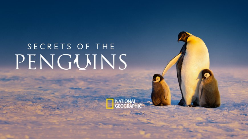 Earth Day Watch Alert – New Nat Geo Series Secrets of the Penguins
