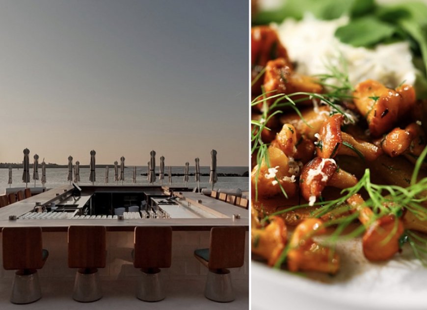 Sakhalin Unveils Limited-Time Chanterelles Menu