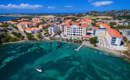 Thinking of Studying in Grenada? Here Are the Five Must-Know Facts for MENA Students